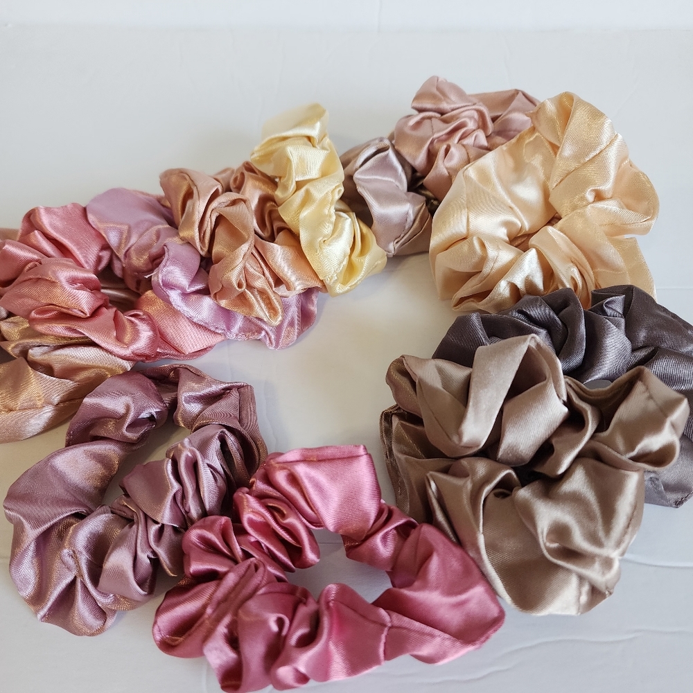 Scrunchie Lot Of 12 With Clear Scrunchie Holder. Imitation Silk Hair Acc…